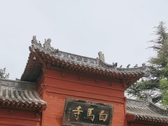 -洛阳白马寺