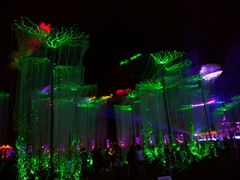 -枫林花海