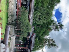 -总统兵马大元帅府