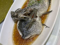 -骏莱海鲜鱼港(五角场店)
