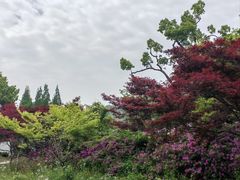 -苏州上方山国家森林公园