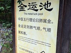 -明月山天沐温泉度假村