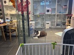-萌兽医馆·眼科·异宠专科(三里屯店)