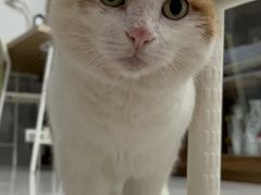 -北京赛佳动物医院