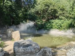 -北京西山国家森林公园