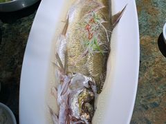 苏帮太湖白鱼-苏帮袁Sue Cuisine(南开大悦城店)