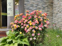 -西安祥峪森林公园