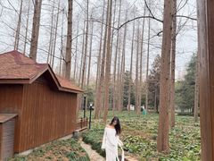 -上海怡沁园度假酒店