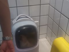 -半岛宠物医院24小时(科华中路店)