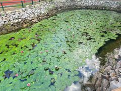 -黛秀湖公园