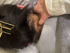-承启堂中医馆·推拿·针灸(成华馆)