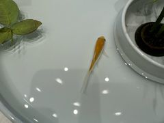 -宴昆山·私房菜(春晖店)