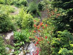 -苍山感通索道