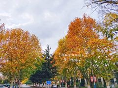-大连理工大学(凌水校区)