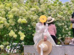 -大龙山(地铁站)