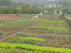 -八卦田遗址公园