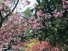 -荆川公园