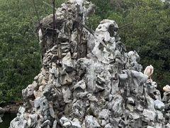 -合肥野生动物园