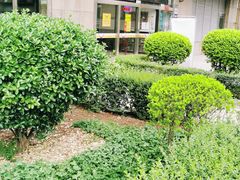 -牛一嘴·兰州牛肉面·大盘鸡(财富中心店)