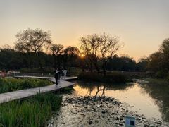 -西溪国家湿地公园