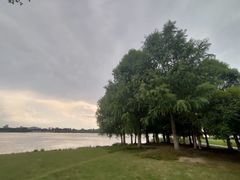 -桐乡凤凰湖