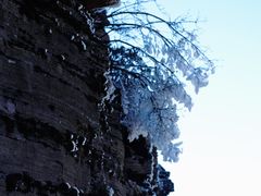 -梵净山旅游区