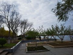 -天津金海湖
