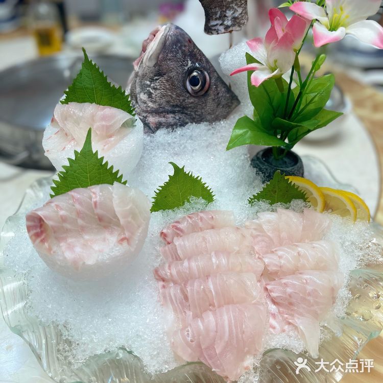 🐟无鱼生不夏天#