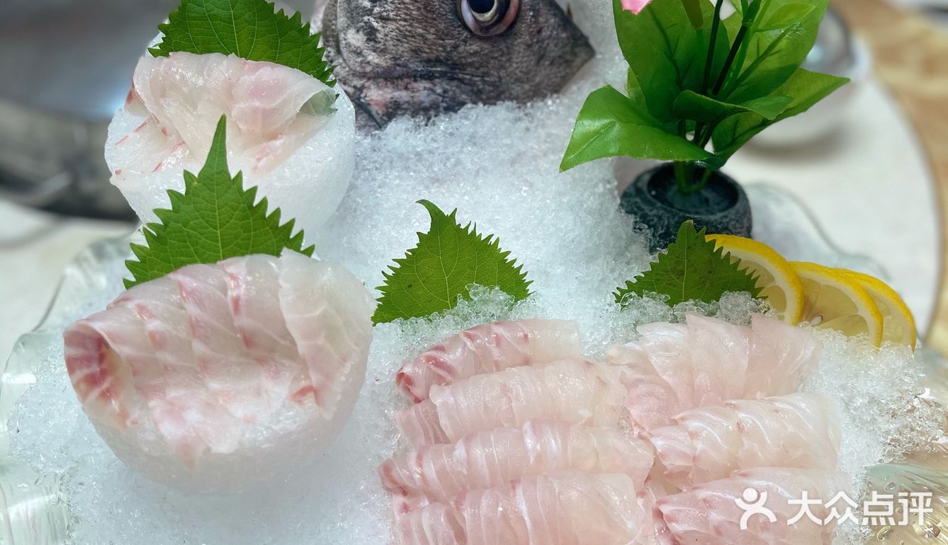🐟无鱼生不夏天#