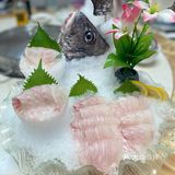 🐟无鱼生不夏天#