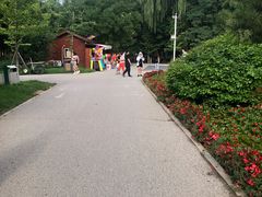 -长白岛森林公园