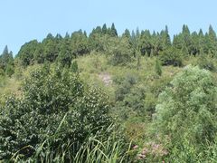 -波罗峪风景区