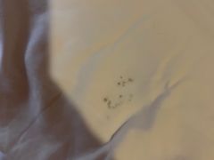 -天门沟九州驿站树上汤泉