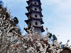 -圣莲山风景区