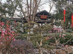 -东山雕花楼