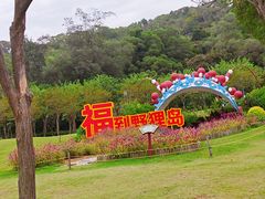 -野狸岛