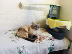 -浦江瑞和城叁街区鲁宁路80弄