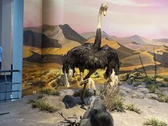 -国家自然博物馆