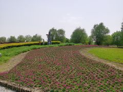 -梁鸿国家湿地公园