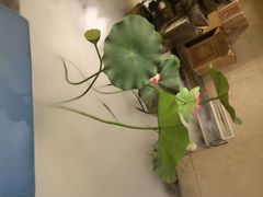 -香浙汇(望京店)