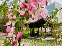 -海棠花溪(元大都城垣遗址公园)