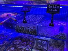-渔民船说·北塘海鲜·天津菜·海肠捞饭(北塘古镇店)