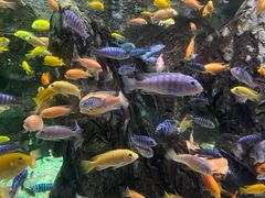 -太平洋海底世界