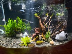 -太平洋海底世界