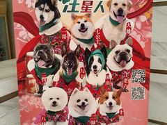 -英皇电影城(英皇集团中心IMAX店)
