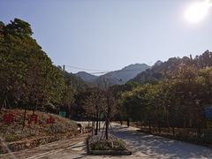 -南丹山森林王国