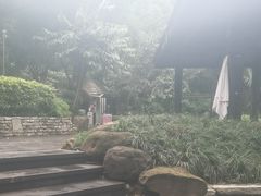 -融汇温泉