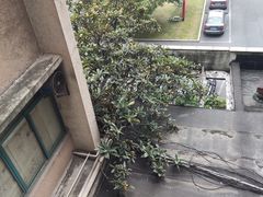 -浙江大学(玉泉校区)