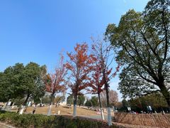 -盘龙城国家考古遗址公园