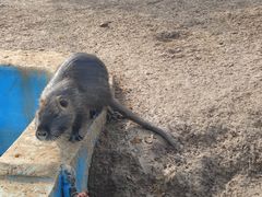 -宿豫区运河湾森林动物园